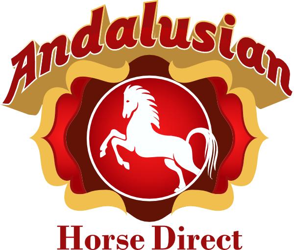 Andalusian Horse Direct